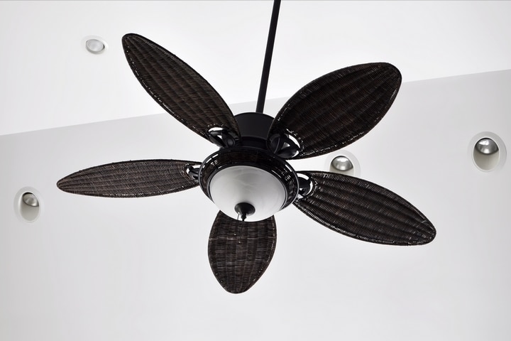 Turn on the ceiling fan to keep a room warm in winter.