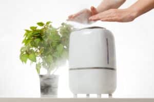 10 Best Ways to Purify the Air in Your Home